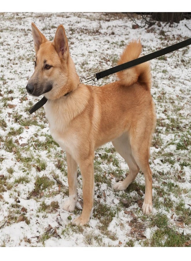 تريكسي: - مقود كلاسيكي | مقود كلاب نايلون قابل للتعديل مع خطافات من الفولاذ المقاوم للصدأ | حلقة مبطنة توفر قبضة مريحة - (15 مم/4 أقدام، XS-S) أسود - Image 5